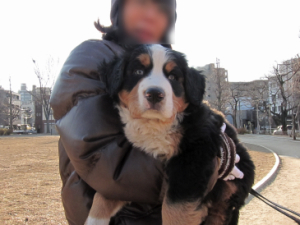 2012.1.9.2 2012.1.9.2